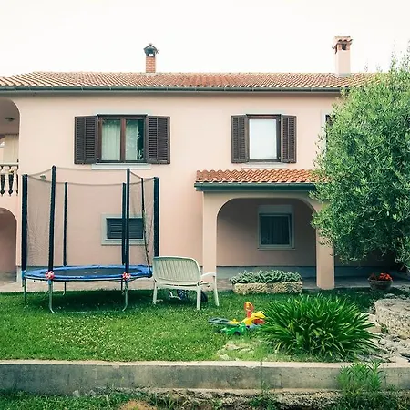 Apartman Nola شقة